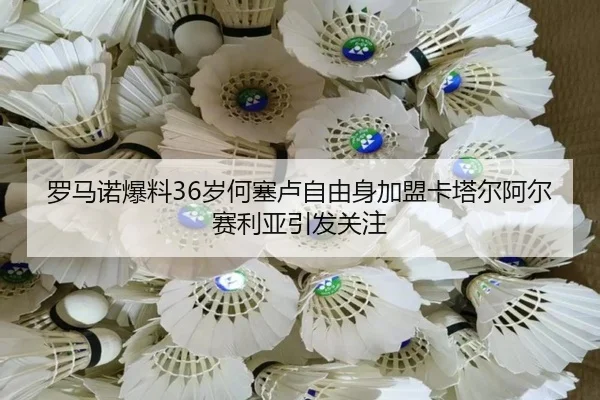 罗马诺爆料36岁何塞卢自由身加盟卡塔尔阿尔赛利亚引发关注